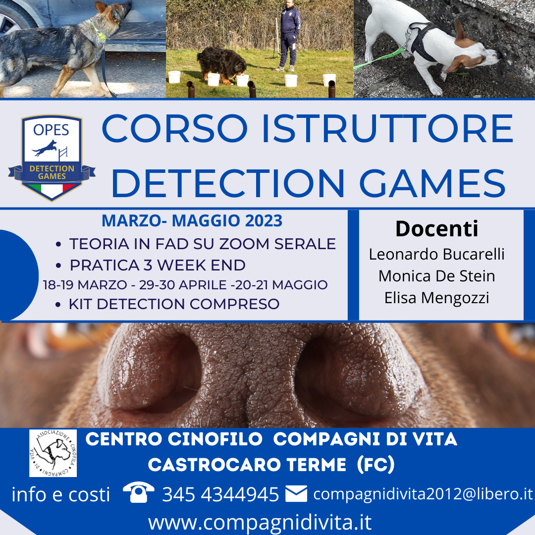 CORSO ISTRUTTORE TECNICO